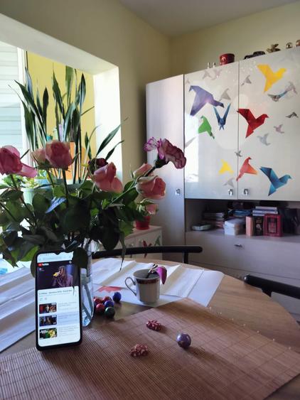 Apartament cu o camera, direct de la proprietar, Zona Freidorf - 3