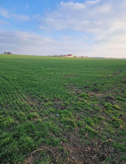 Teren sos Slobozie 1.75ha - 3