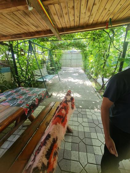 Vand casa 3camere in spate la blocul privilege - 5