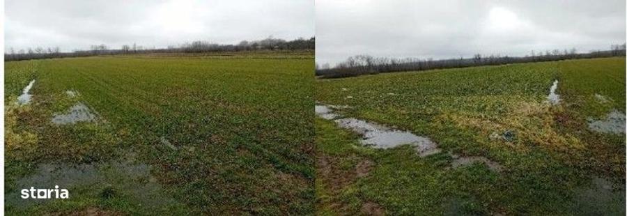 Teren de 833 mp, în Stolnici