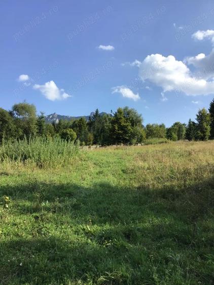 Vand teren in zona Ceahlau - Durau, Neamt - 3