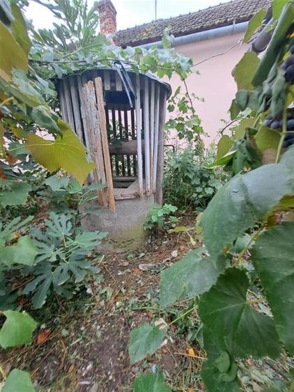 RECO  casa batraneasca Salard - 2