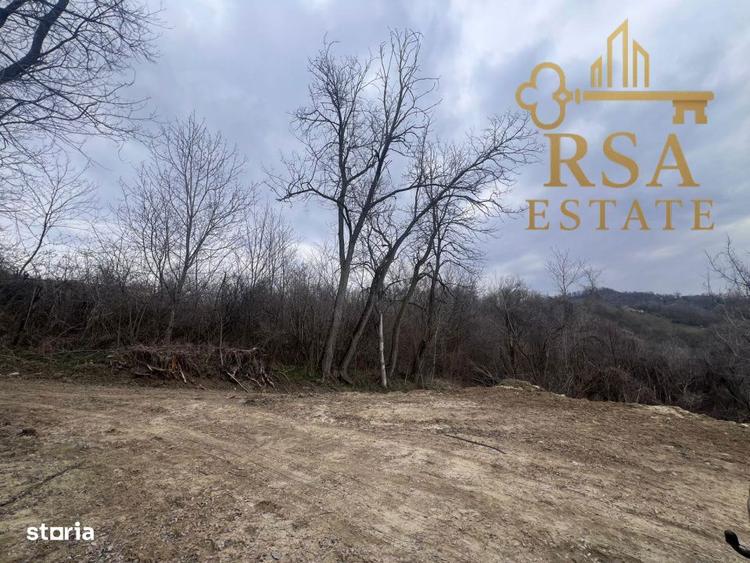 Teren 2500 mp Feteni-Valcea, priveliste spectaculoasa, zona linistita - 5