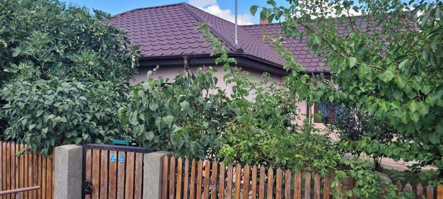 Casa cu deschidere la canal in Murighiol - 8