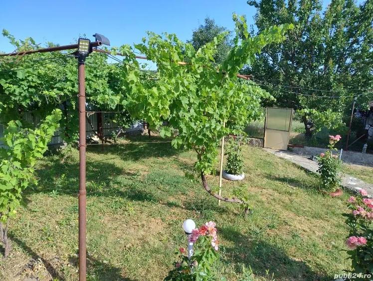 Proprietar vand casa - 1