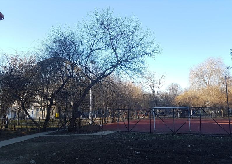 Garsoniera confort 3, etaj 1, bloc de garsoniere, libera, Stadionului - 1