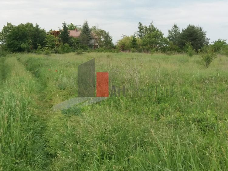 Buftea Teren cu iesire la lac - 8