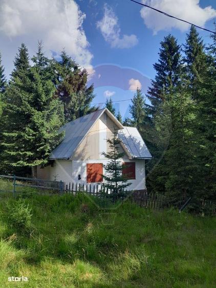 Cabana de vanzare in Muntele Bai?orii Zona Jera - 13