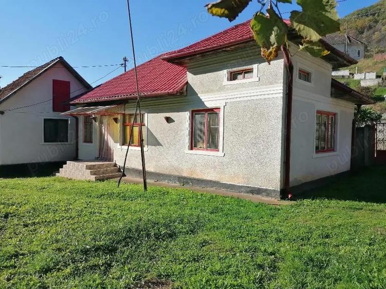 Casa de vanzare + teren si padure - 3