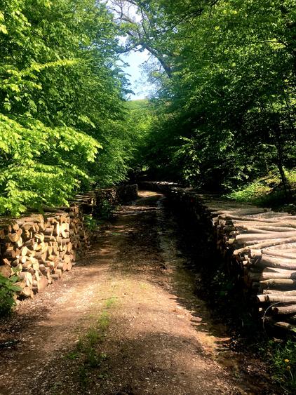 Proprietate autentica cu potential turistic lângă satul Viscri,  judetul Brașov - 50