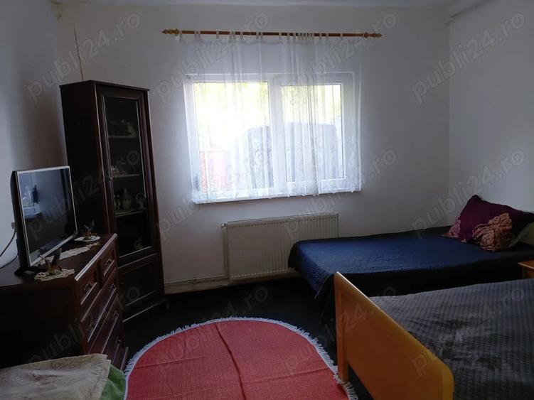 Vand casa batraneasca - 5