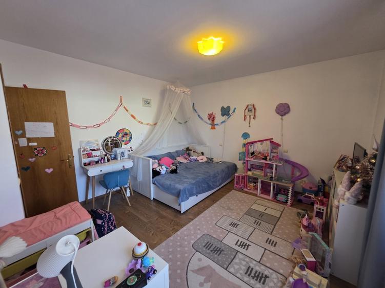 Dristor, Camil Ressu, 15 minute metrou, pe strada Ilioara - 5