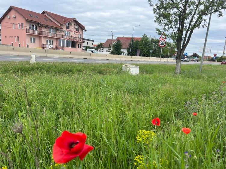 Inchiriem pensiune turistică 50loc cazare,parcare,Oradea-Felix - 5