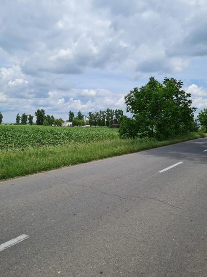 Teren intravilan situat într-o zonă superbă , vis-a-vis de Parcul Natural Comana - 1