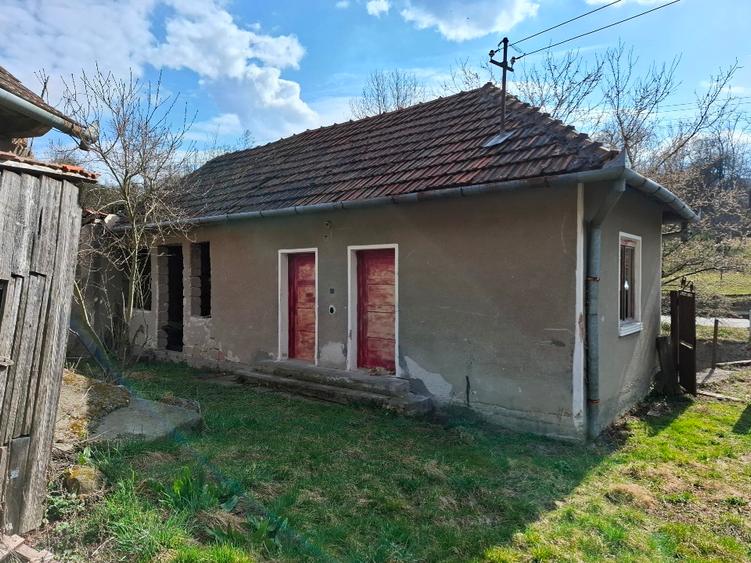 Vând casa Stancesti (Dobra) - 4