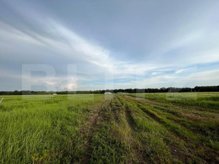 Teren partial intravilan 23.500 mp, apa, curent si supraveghere video, Bucovat - 8