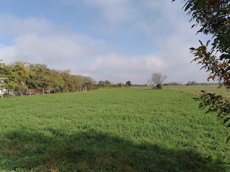 Teren 2.600 mp - deschidere 35m-intrare Pogoanele dinspre Buzau - 4