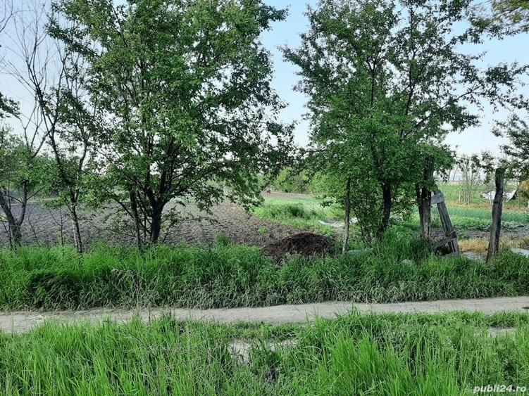 Teren de 4000 mp, în Măgureni