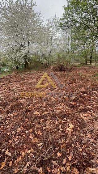 Teren intravilan in spate la Castel Transilvania 1.000mp - 6