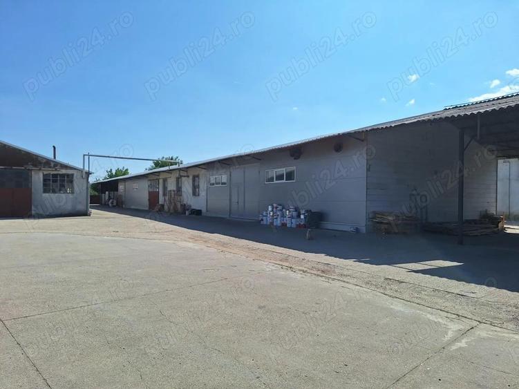 Vand Hale industriale si spatii productie - 3