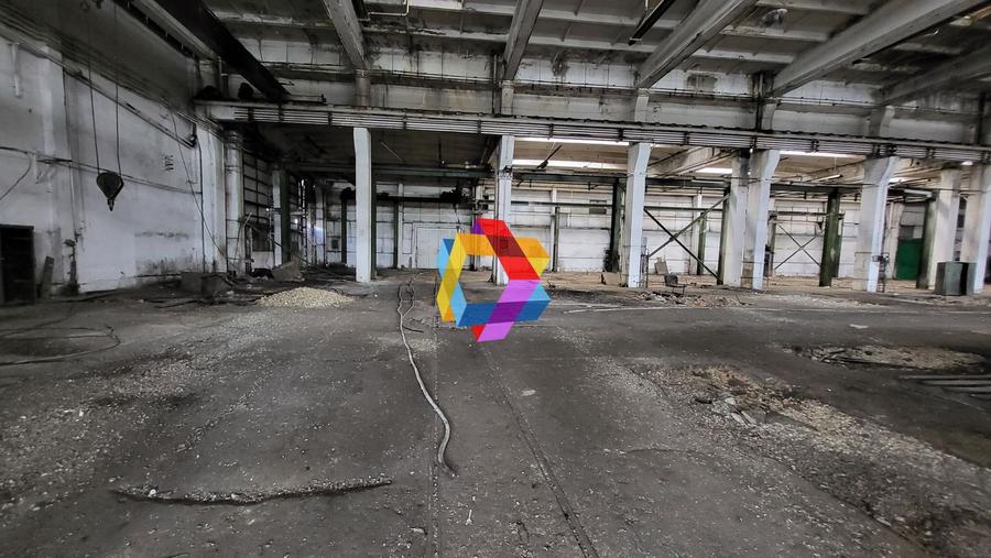 Hala - 1137 mp  # plus-imo.ro - 5