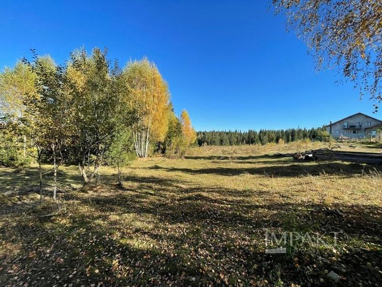 Teren intravilan de 2001 mp în Calatele Padure, comuna Calatele! - 5