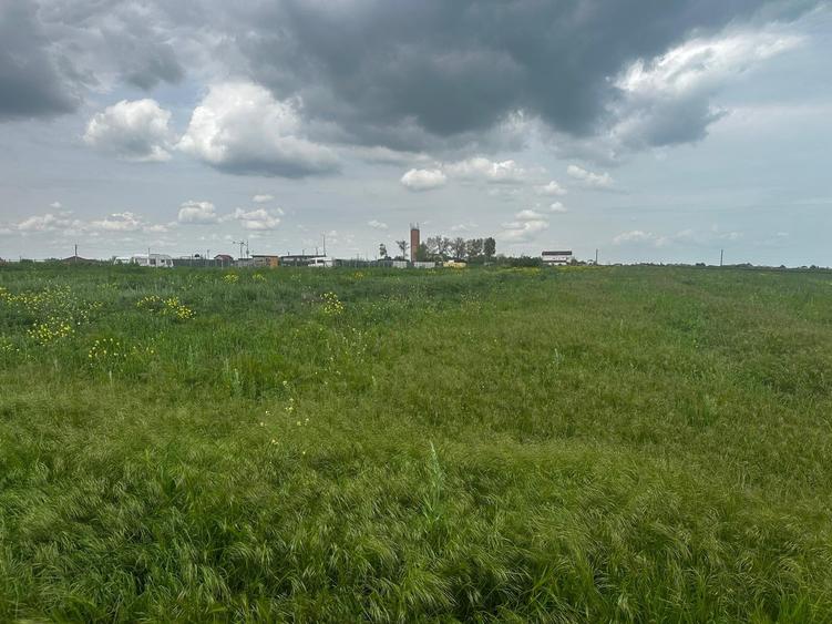 Constanta - Tuzla  - teren intravilan 1000mp - 10