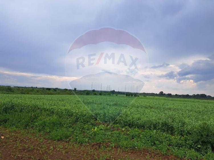 Teren Ciolpani 15.000 mp oportunitate posibilitate lotizare 5000 mp - 3