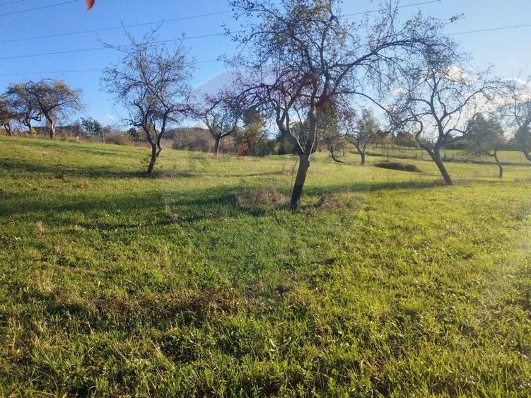 Teren zona superba Șișești - 1