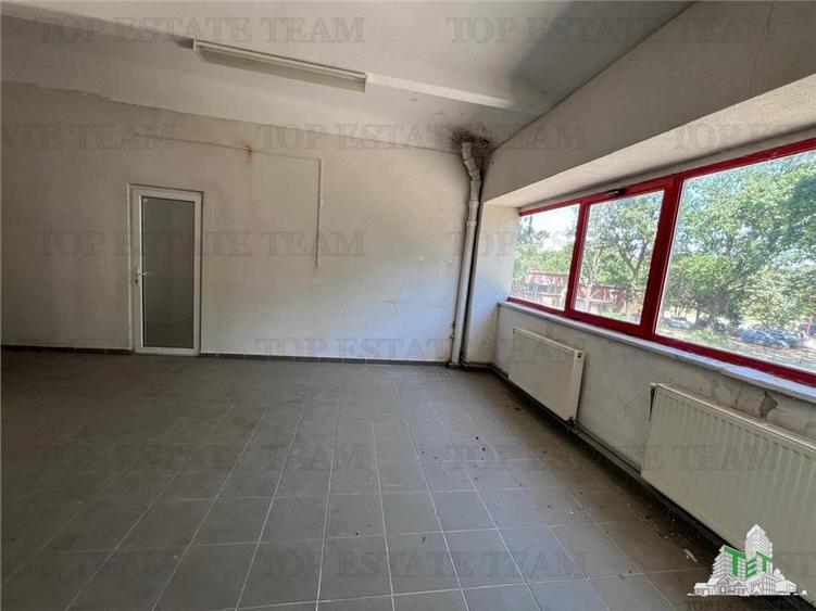 De inchiriat spatii comerciale, hale si birouri - 10