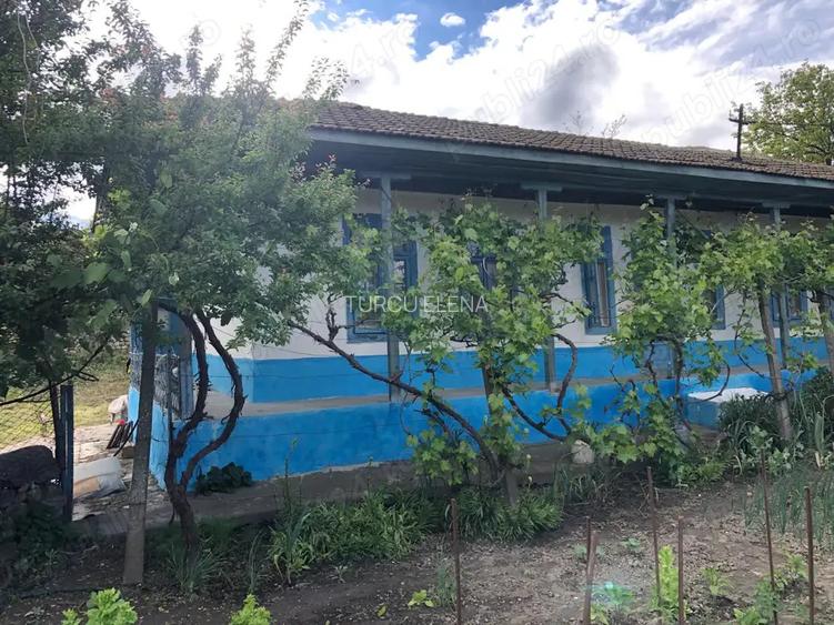 Vand casa in Loc. Petrosani, Jud. Constanta