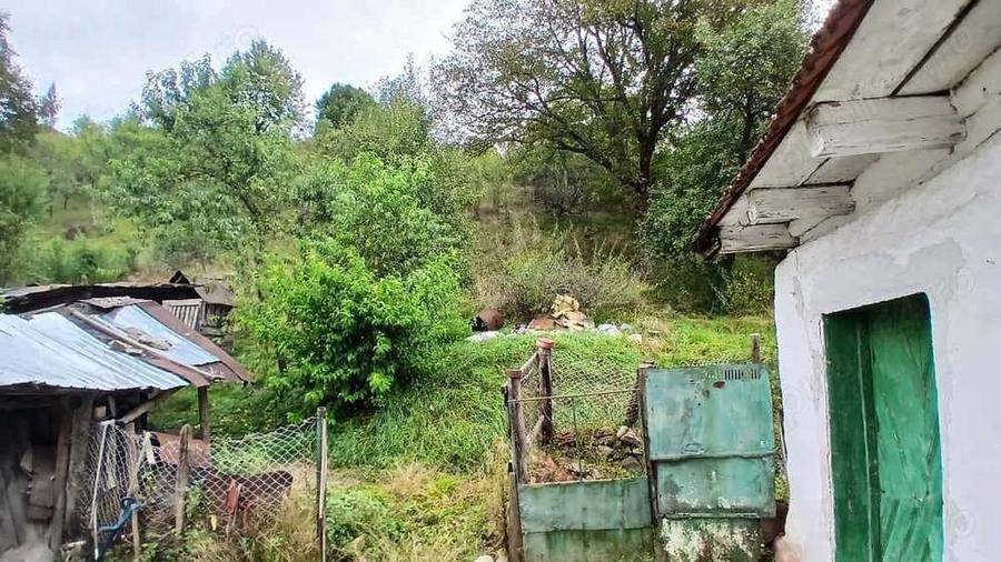 Comision 0 - Teren 3342 mp cu casa in Rusca Montana - 1