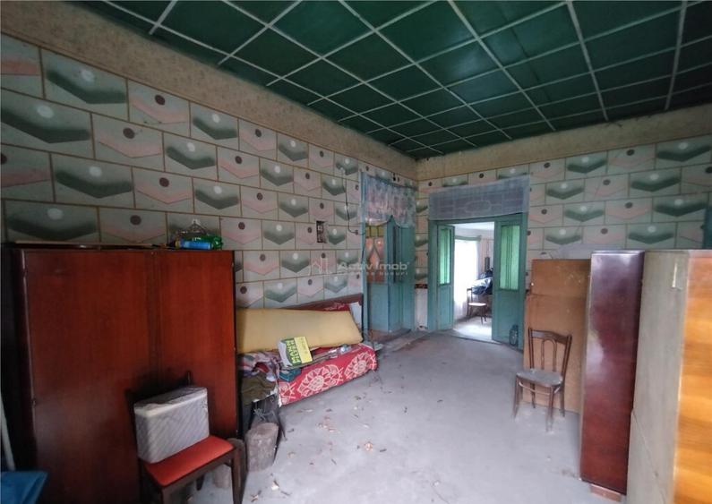 Bogodint, Casa 440mp cu 4 Hectare Teren, Pret Negociabil - 12