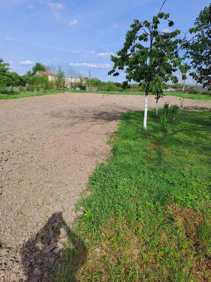 Casă cu 3 camere cu Teren 2877 Mp în Bethausen