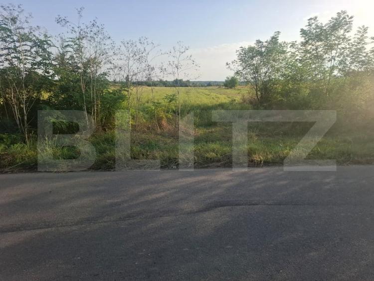Teren Construcții extravilan de 5000 mp, în Viișoara