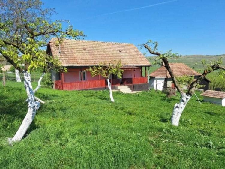 Casă cu 2 camere în Vale