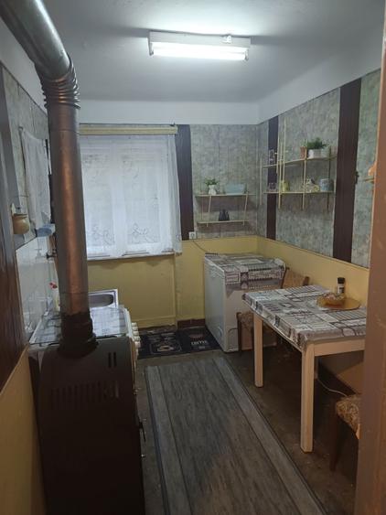 Apartament cu 2 camere semidecomandat în Băiuț