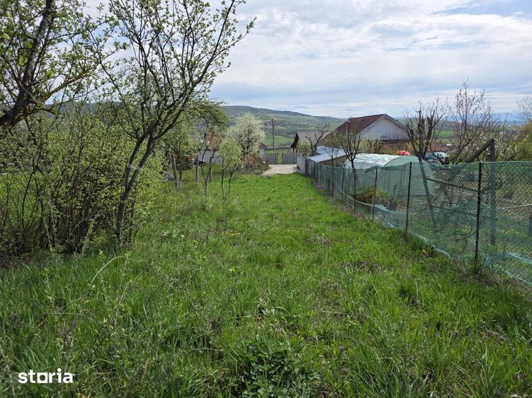 De vanzare teren intravilan Barsau, jud. Hunedoara - 7