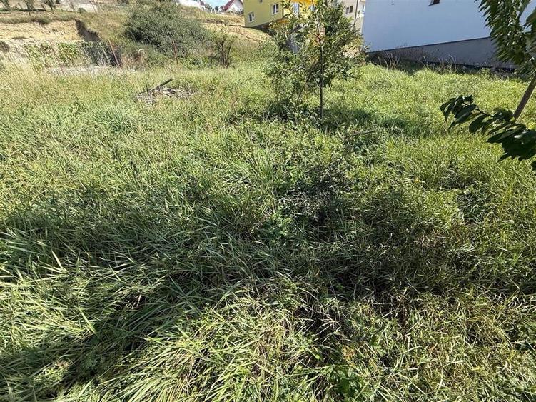 Casa individuala cu 2 camere si 495 mp teren in Sura Mare - 1