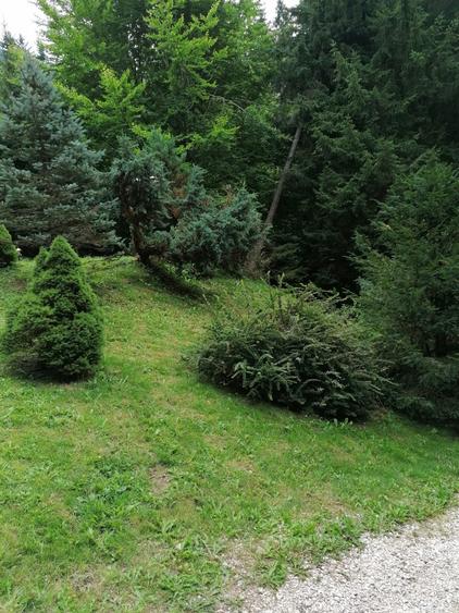 Teren constructie pensiune,  zona Ana Hotels - 1