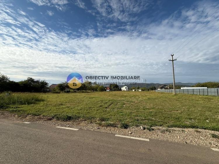 Teren de vanzare 1800 mp - Dumbrava Rosie