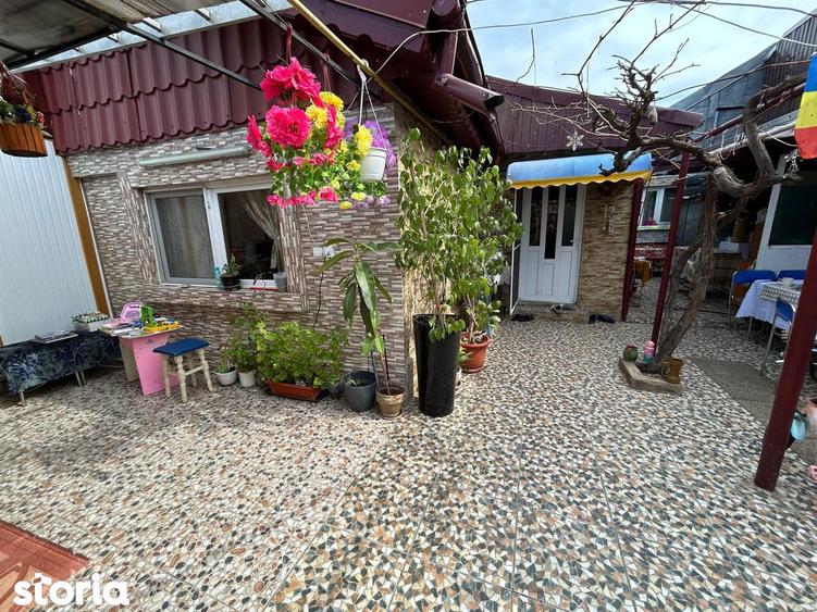 Casa 4 camere zona Plantelor - 12
