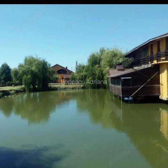 Proprietate de vanzare 3690 mp cu balta populata