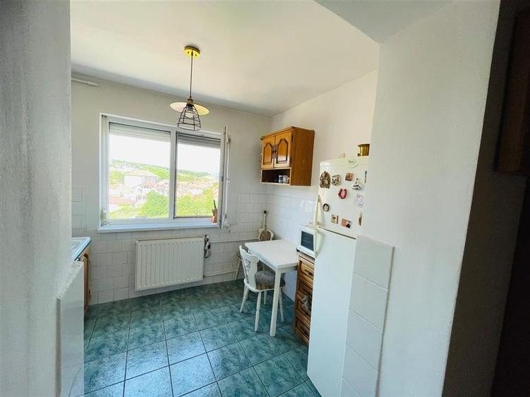 RECO APARTAMENT CU DOUA CAMERE IN BEIUS - 9