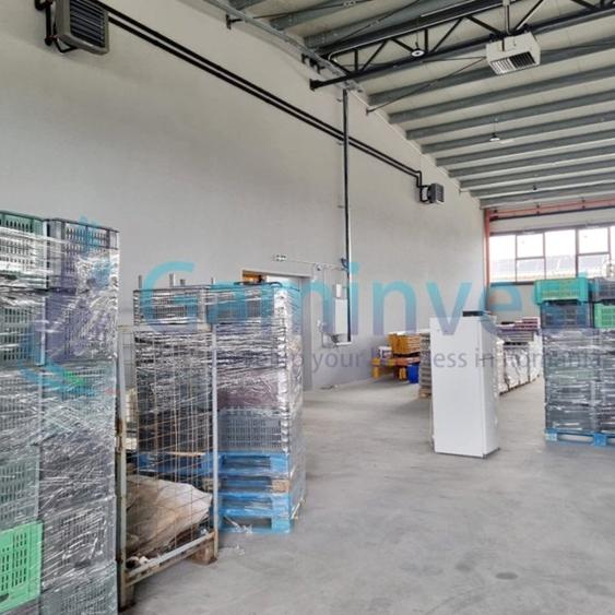 Hala noua de inchiriat, Parcul Industrial III, Uzinelor, Oradea, Bihor - 3