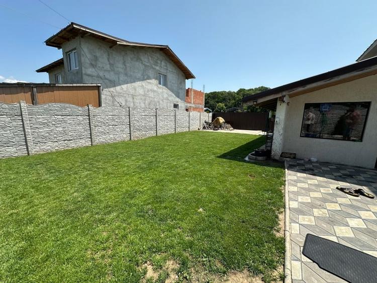 Casa 5 camere Domnesti-Teghes - 29