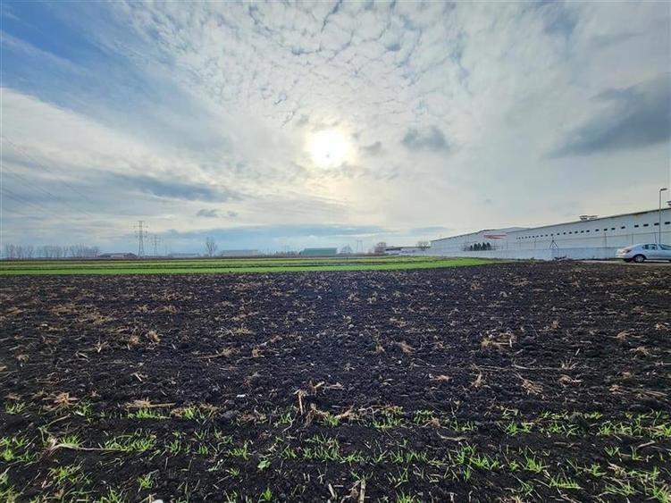 Vanzare Teren pretabil constructie hale, 28.100 mp, Halchiu - 8