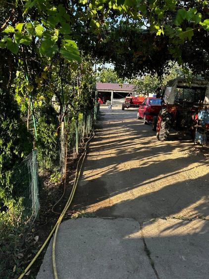 Casa de vanzare - 10