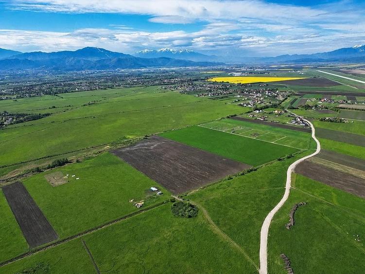 Teren de 8600 mp, în Stupini
