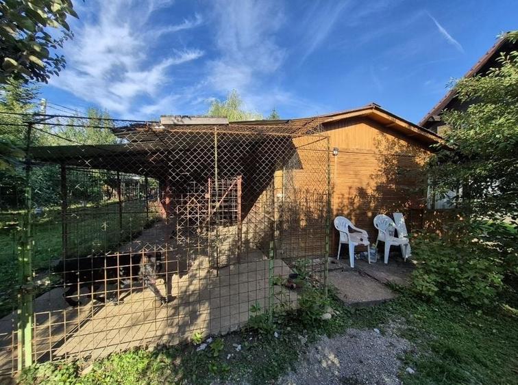 Cabana de lemn cu fundatie 86 mp+ livada pomi fructiferi+teren 847 mp - 10